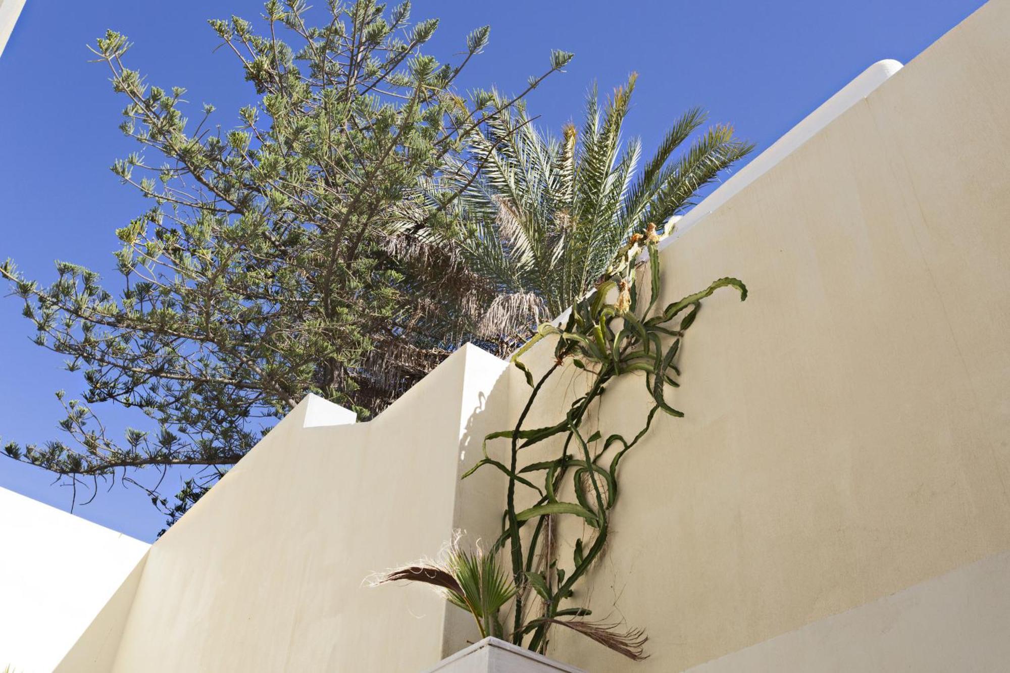 Tavira Historical Center Apartments Экстерьер фото